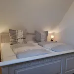 Dhh 